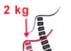 Illustrierte Krümmung einer Wirbelsäule bei Belastung von 2Kg