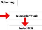 Diagram zu chronischen Rüeckenschmerzen